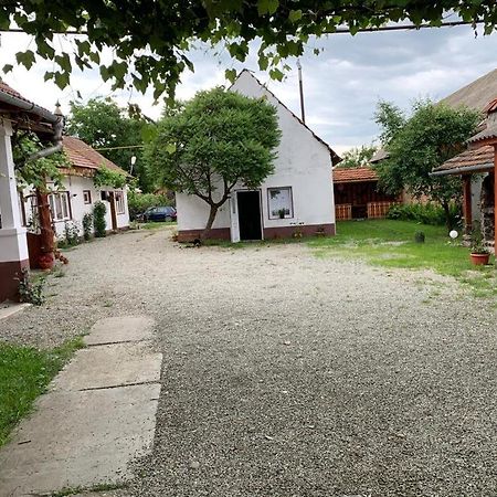 Hotel Casa Mari Cîrţişoara Exteriér fotografie