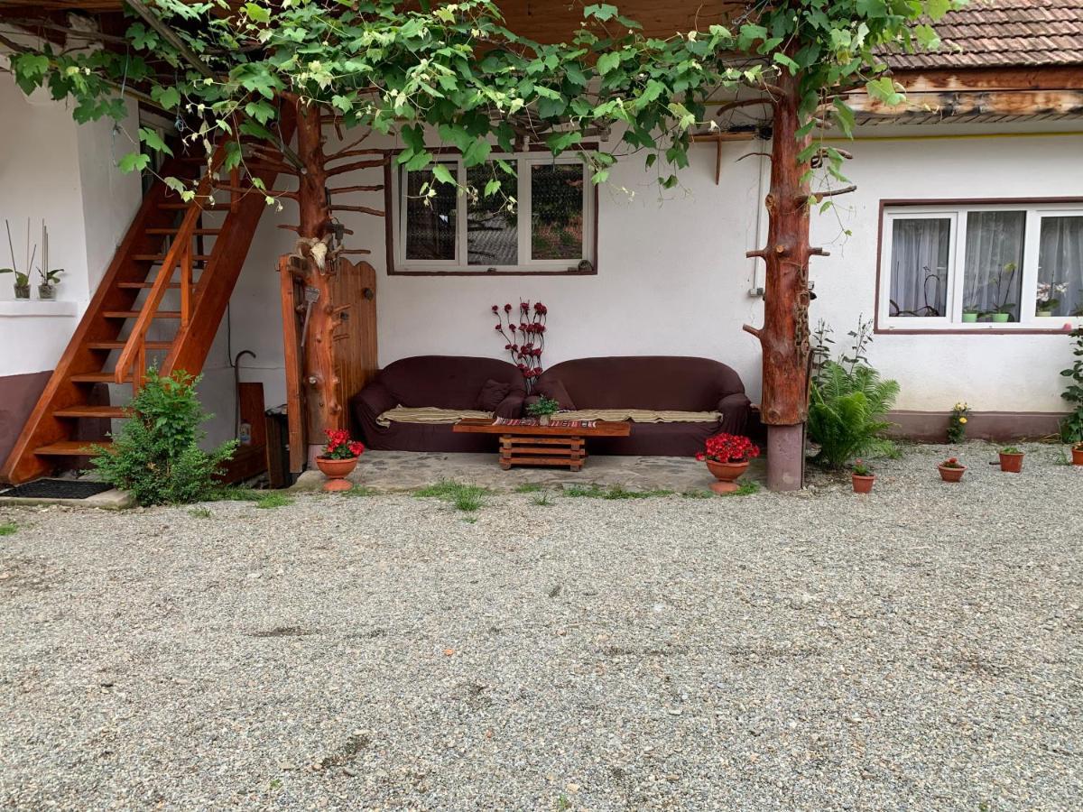 Hotel Casa Mari Cîrţişoara Exteriér fotografie