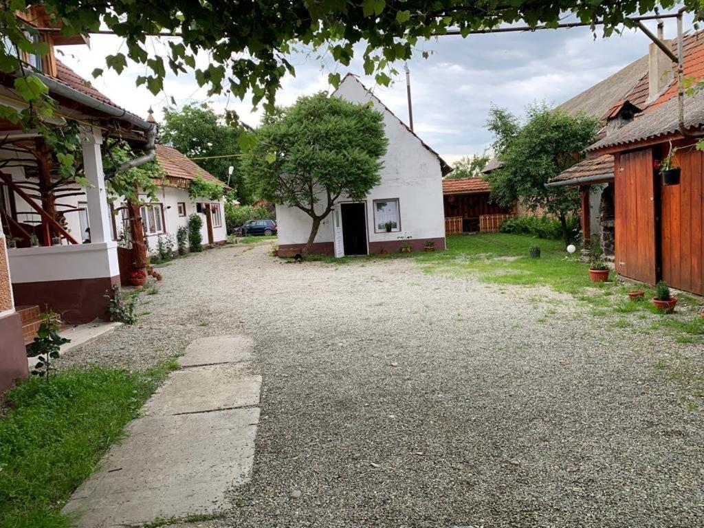 Hotel Casa Mari Cîrţişoara Exteriér fotografie